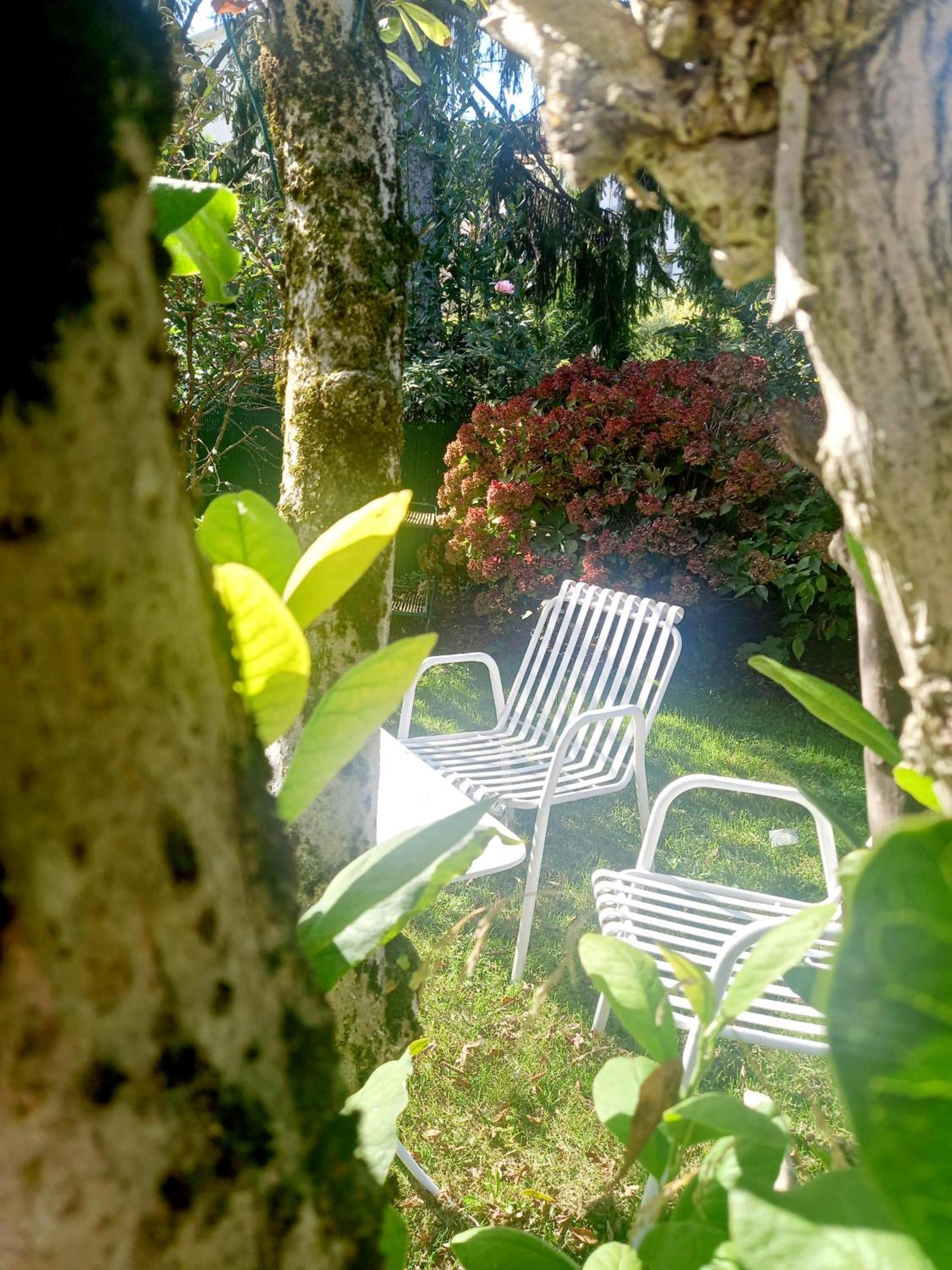 A Casa Di Dora Bed & Breakfast Treviso Luaran gambar
