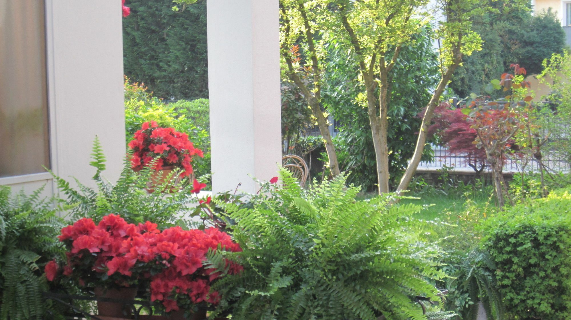 A Casa Di Dora Bed & Breakfast Treviso Luaran gambar