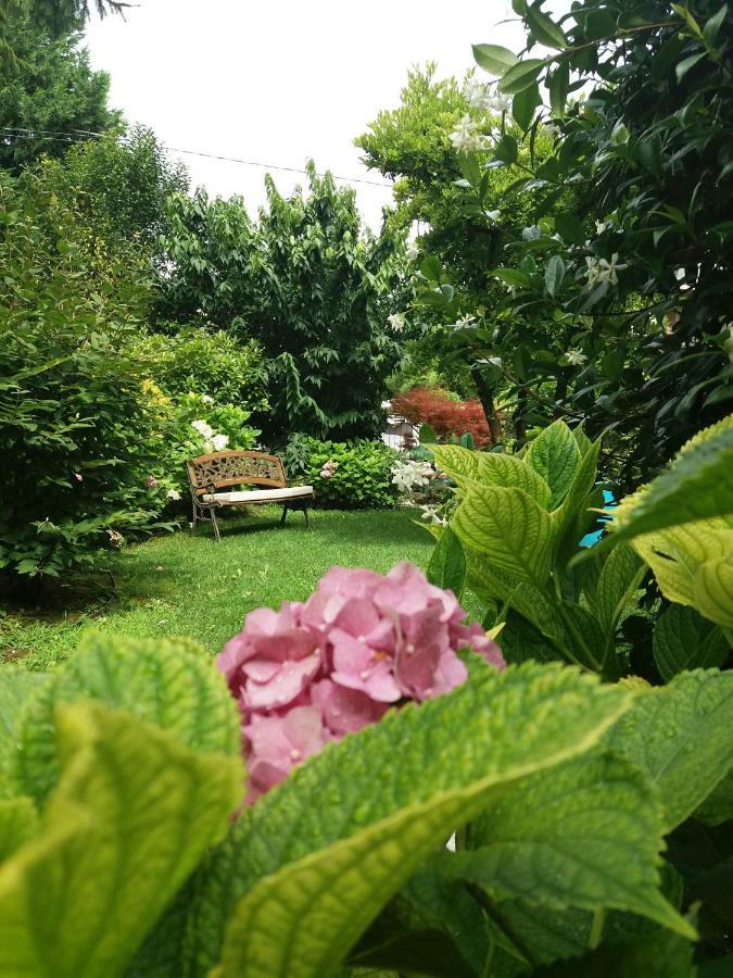 A Casa Di Dora Bed & Breakfast Treviso Luaran gambar